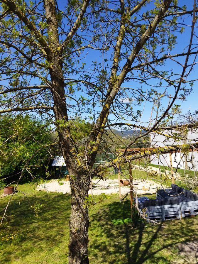 Mobile Home Saint-Christol-lès-Alès Buitenkant foto